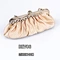 evening clutch bag